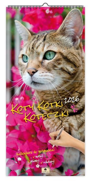 Kalendarz paskowy szeroki KPS V.6 Koty, kotki, koteczki Pan Kalendarzyk